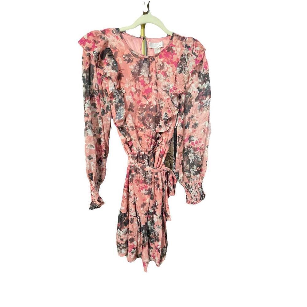 Women's Rachel Parcell Floral Print Ruffle Chiffon Blouson Dress Size 0